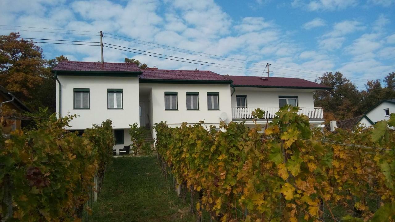 Ferienhaus Szapary II Eisenberg an der Pinka Exteriér fotografie